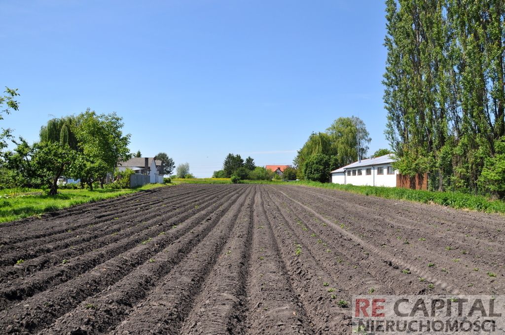 Działka rolno-budowlana Koczargi Nowe, ul. Bugaj. Zdjęcie 3