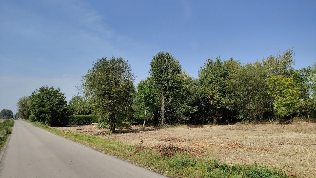 Działka budowlana Jabłonna Pierwsza. Zdjęcie 5