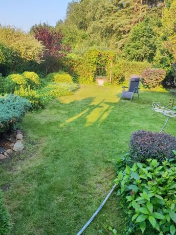 Działka rod Drzewce. Zdjęcie 1