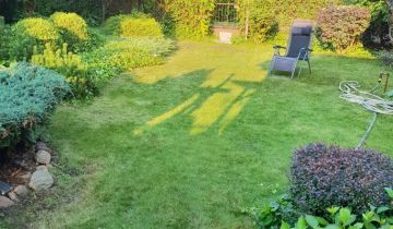 Działka rod Drzewce