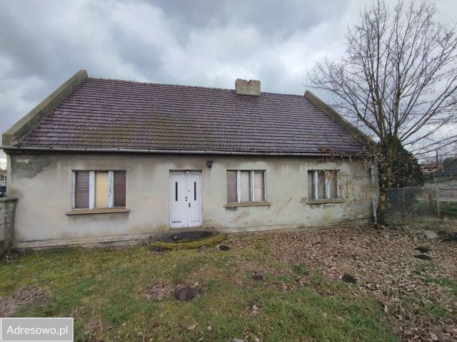 Działka inwestycyjna Skalmierzyce. Zdjęcie 1