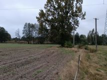 Działka rolna Olszyc-Folwark. Zdjęcie 2