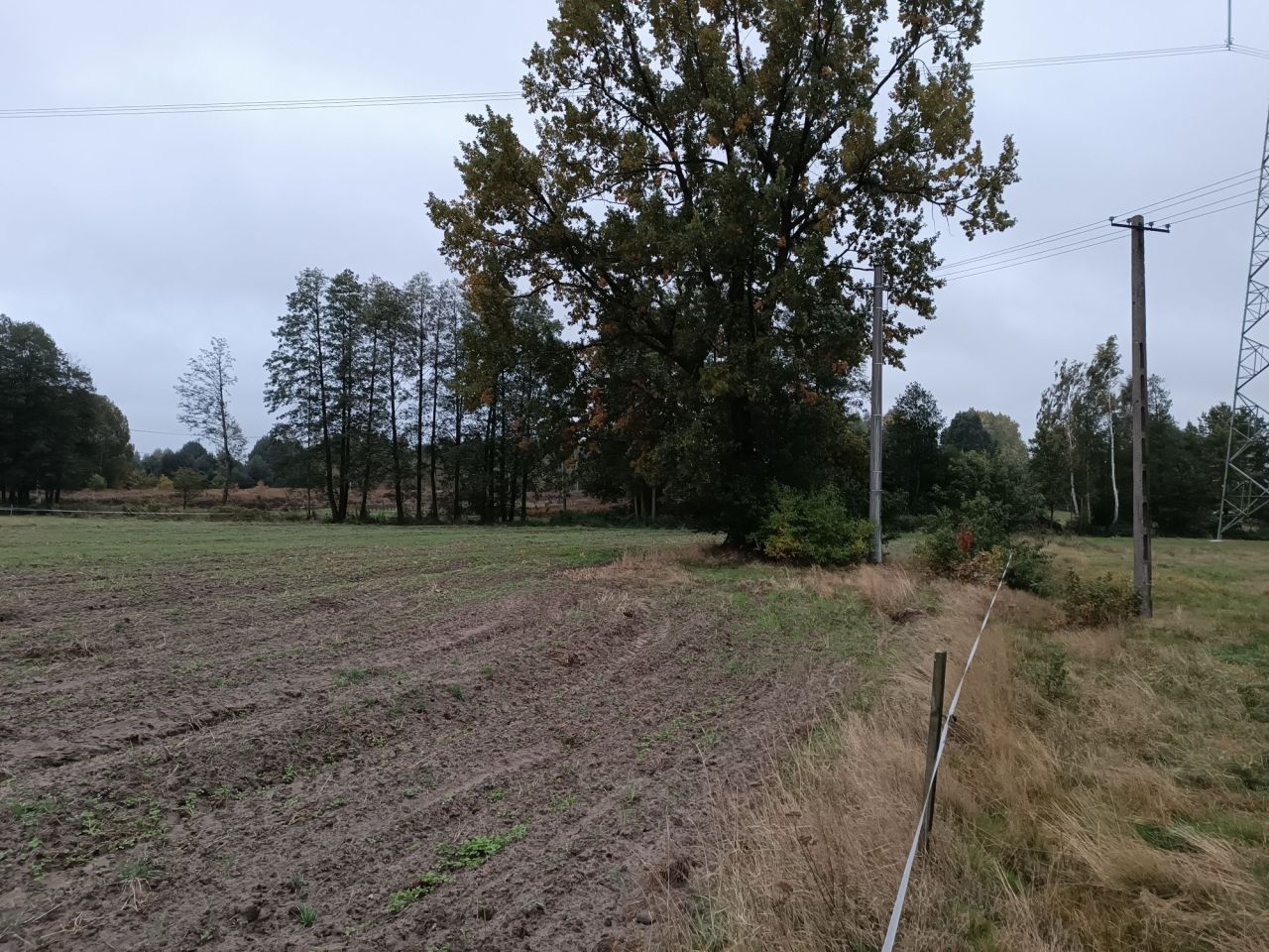 Działka rolna Olszyc-Folwark. Zdjęcie 3