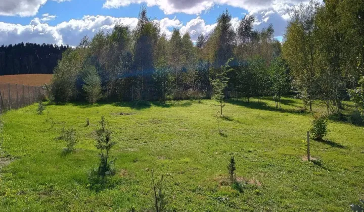 Działka budowlana Drwęck