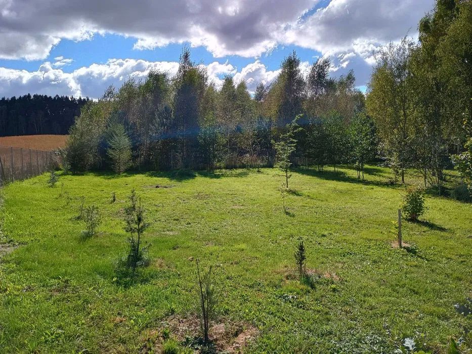 Działka budowlana Drwęck. Zdjęcie 1