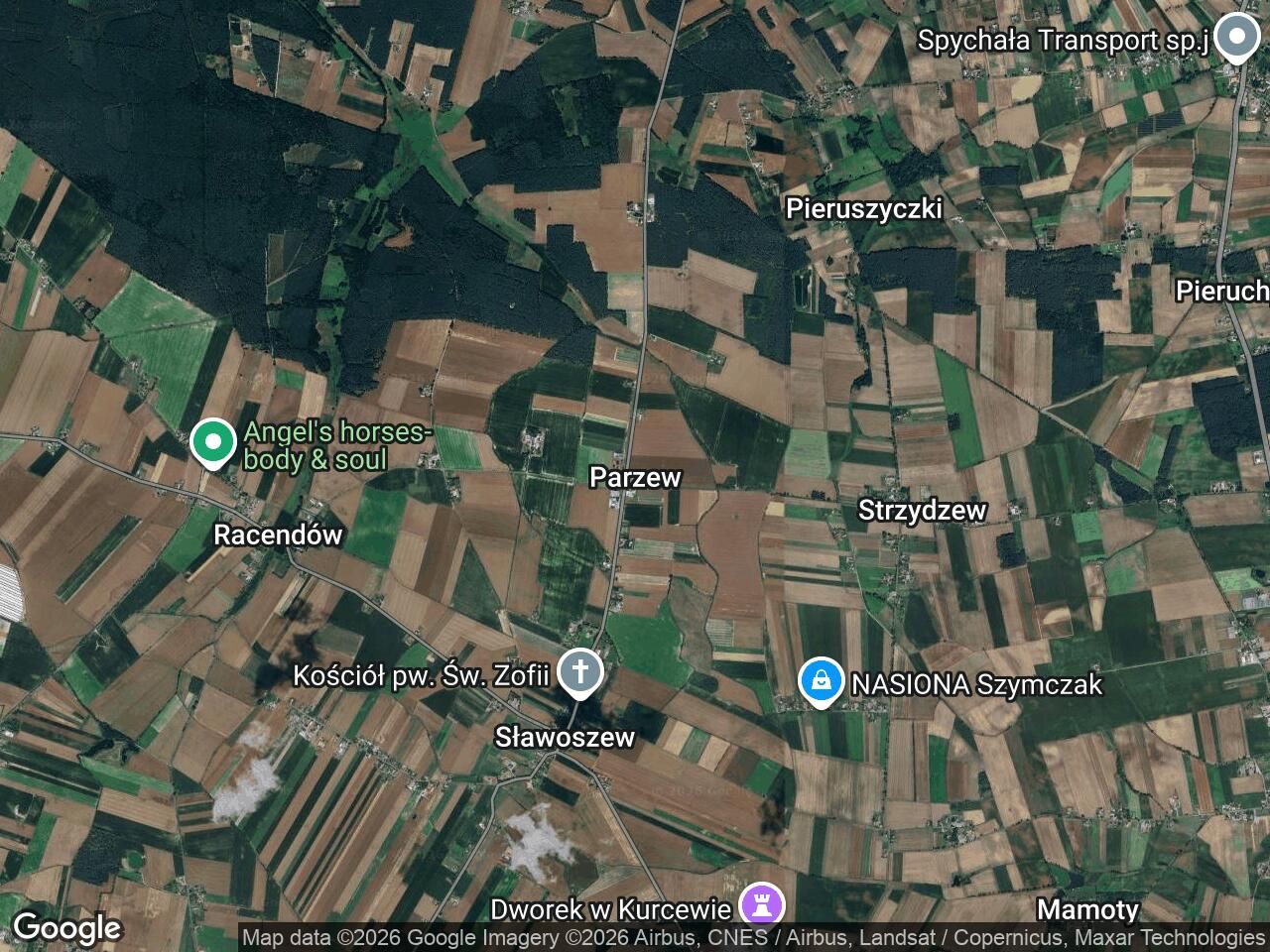 Działka rolna Parzew. Zdjęcie 1