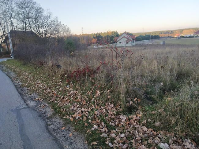 Działka budowlana Zajączków. Zdjęcie 10