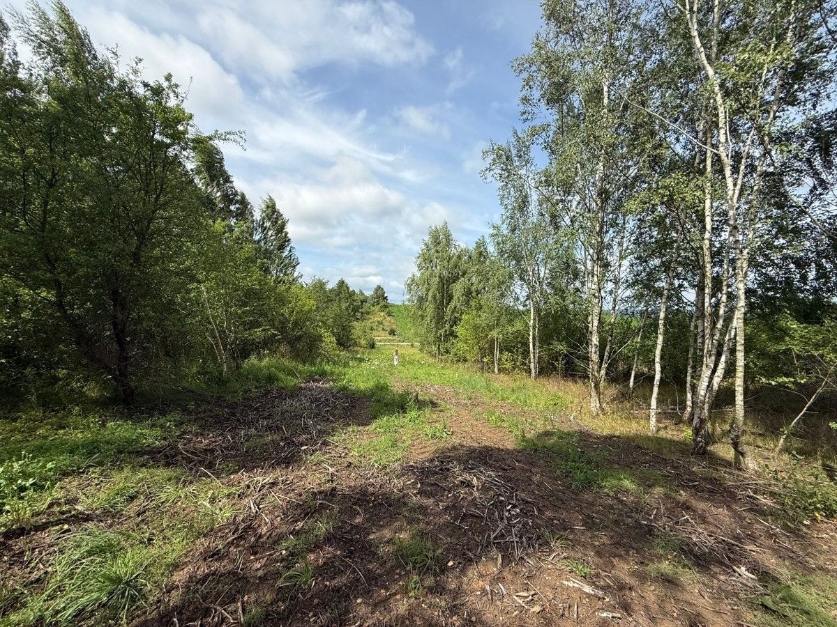 Działka budowlana Bielkówko. Zdjęcie 3