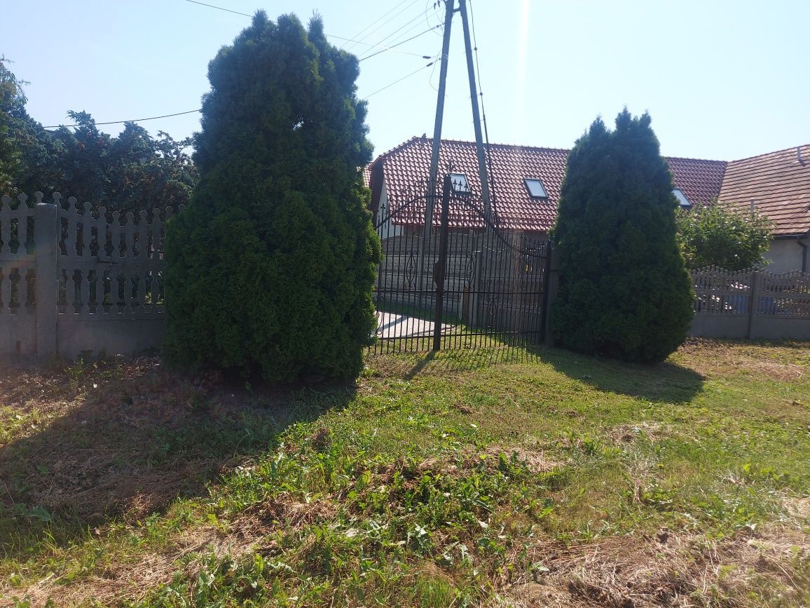 dom wolnostojący Międzybórz. Zdjęcie 3