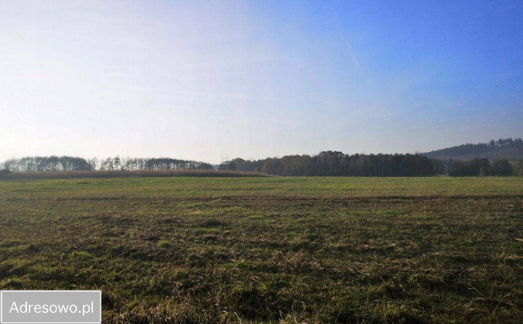 Działka budowlana Grabiszyce Górne. Zdjęcie 4