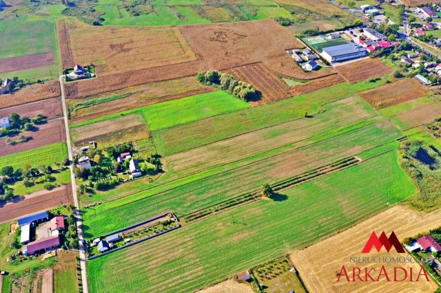 Działka budowlana Radomice. Zdjęcie 3