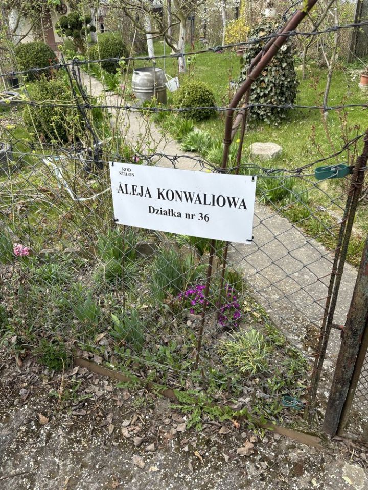 Działka rod Gorzów Wielkopolski Górczyn. Zdjęcie 4