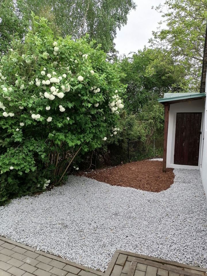 Działka rod Łęczyca. Zdjęcie 4