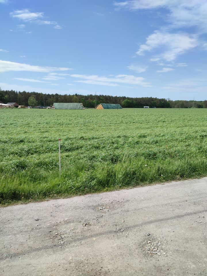 Działka budowlana Pludry, ul. Zamknięta. Zdjęcie 2