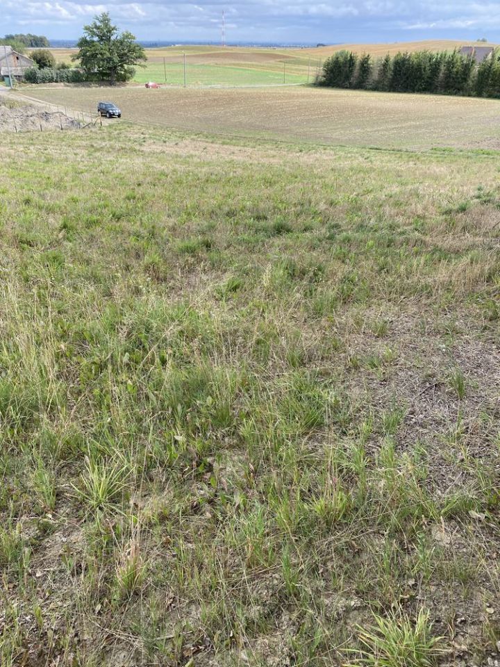 Działka budowlana Ulkowy. Zdjęcie 5