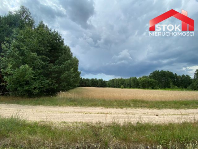 Działka rolna Podozierany. Zdjęcie 4
