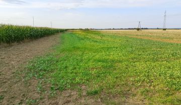 Działka budowlana Skoroszyce