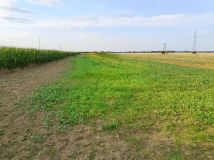 Działka budowlana Skoroszyce