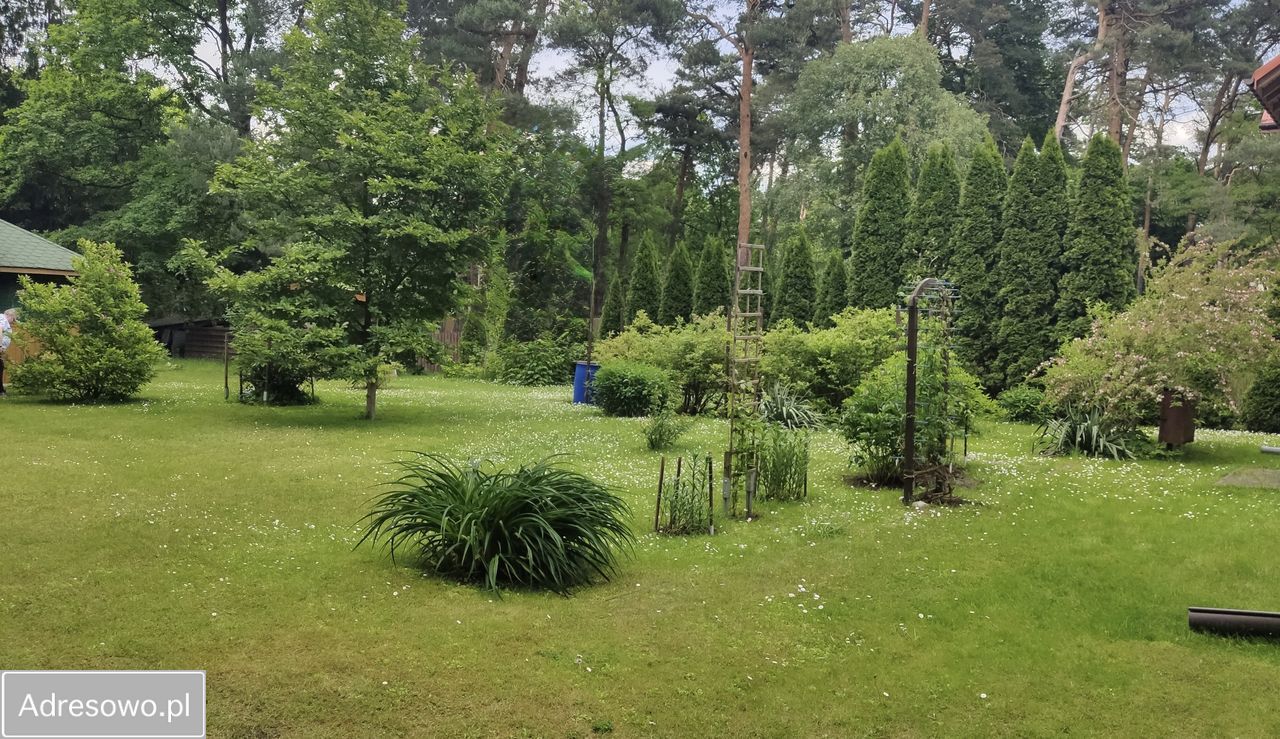 Działka inwestycyjna Konstancin-Jeziorna Grapa. Zdjęcie 3