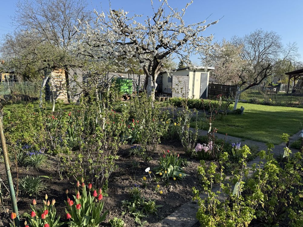 Działka rod Wrocław Stare Miasto. Zdjęcie 8