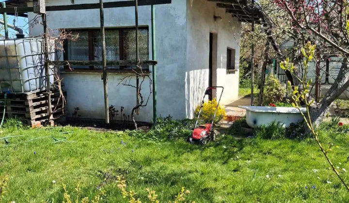 Działka rod Ostrów Wielkopolski, ul. Wysocka