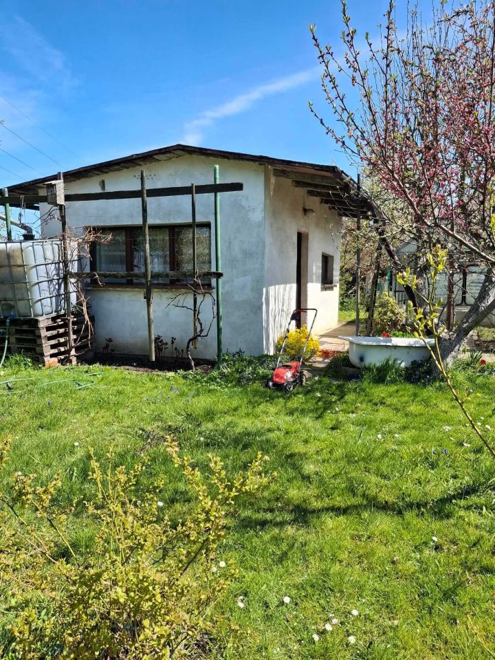 Działka rod Ostrów Wielkopolski, ul. Wysocka. Zdjęcie 1