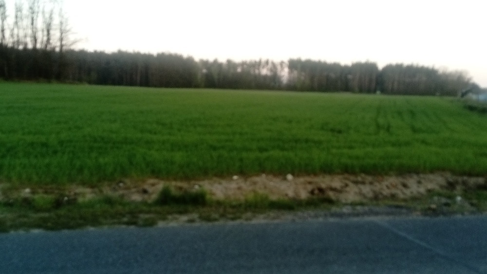 Działka budowlana Skrzatki. Zdjęcie 2