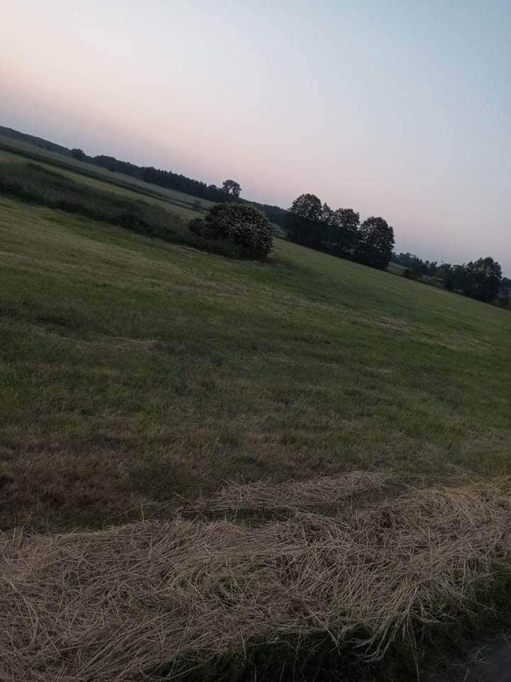 Działka budowlana Zakrzewek. Zdjęcie 7