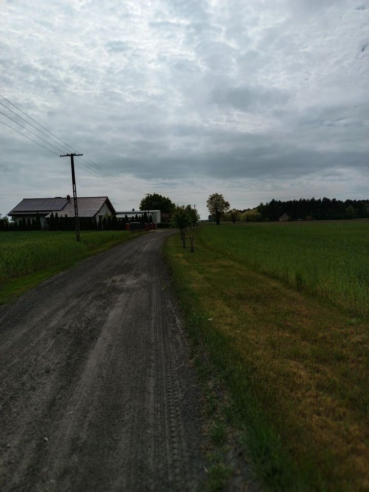 Działka budowlana Kruczyn. Zdjęcie 6