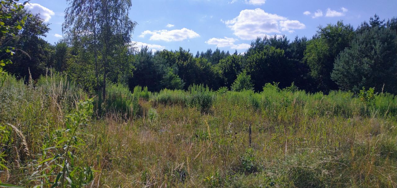 Działka budowlana Tkaczewska Góra. Zdjęcie 3