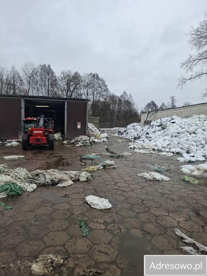 Działka inwestycyjna Filipów. Zdjęcie 2