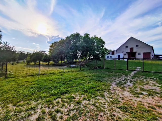 Działka rolna Jarnatów. Zdjęcie 1