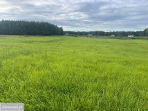 Działka rolna Gady. Zdjęcie 3