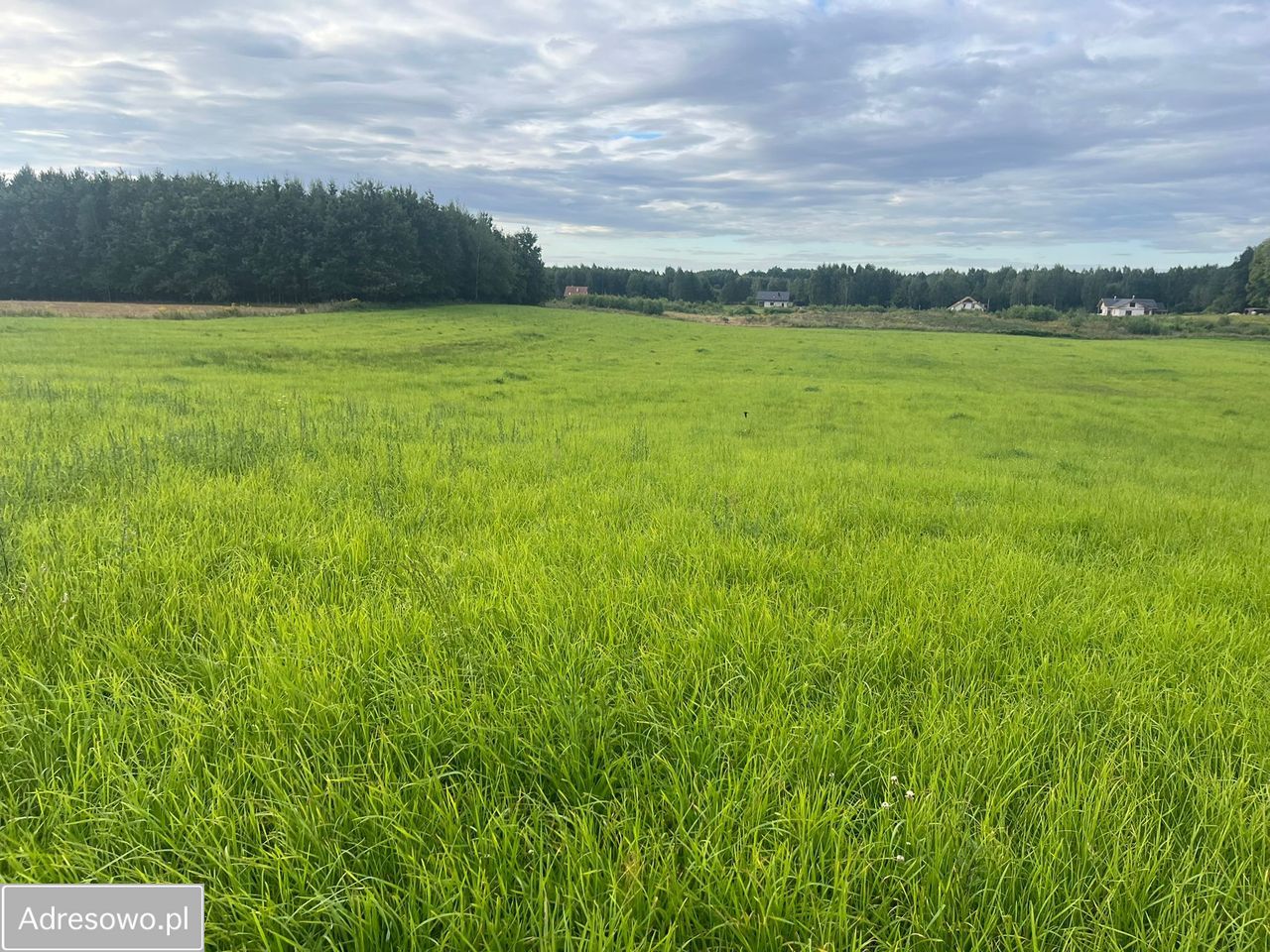 Działka rolna Gady. Zdjęcie 4