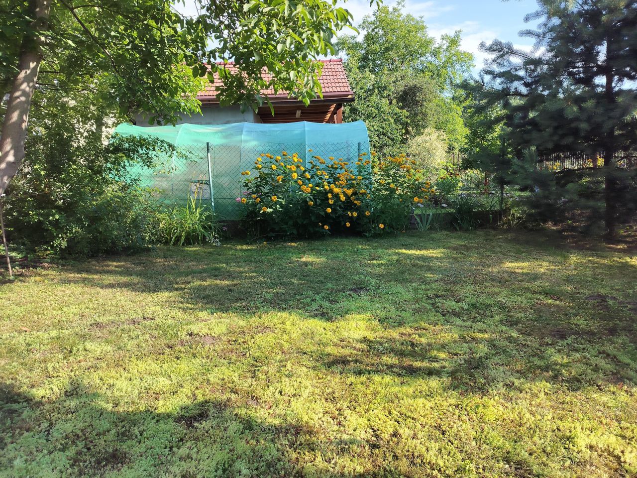 Działka rod Gliwice Szobiszowice, ul. Myśliwska. Zdjęcie 2