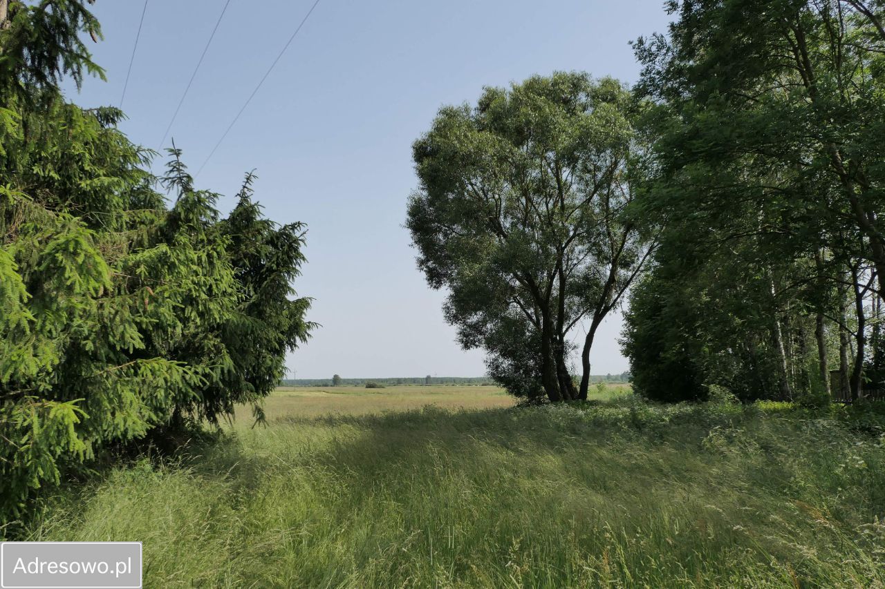 Działka rekreacyjna Sosnowo. Zdjęcie 10