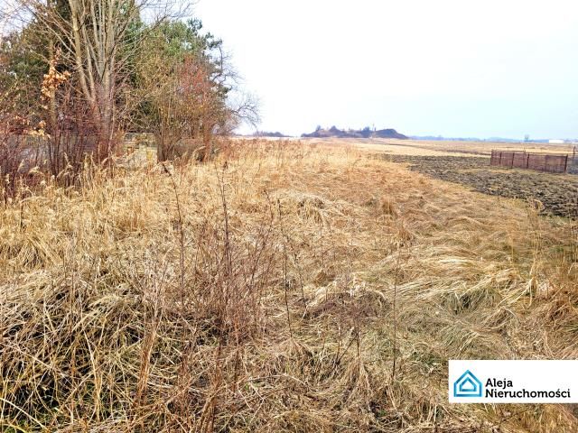 dom wolnostojący, 3 pokoje Jastrząb. Zdjęcie 9