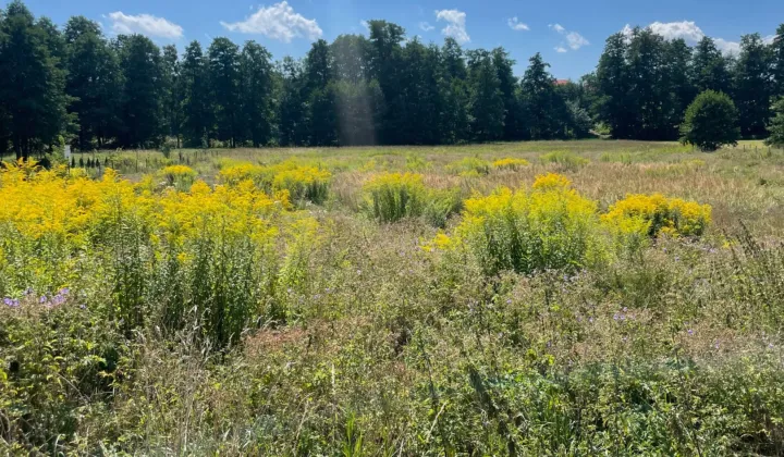 Działka budowlana Zamłynie