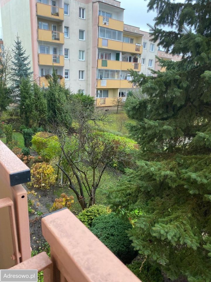 Mieszkanie 2-pokojowe Elbląg, ul. Jana III Sobieskiego. Zdjęcie 2