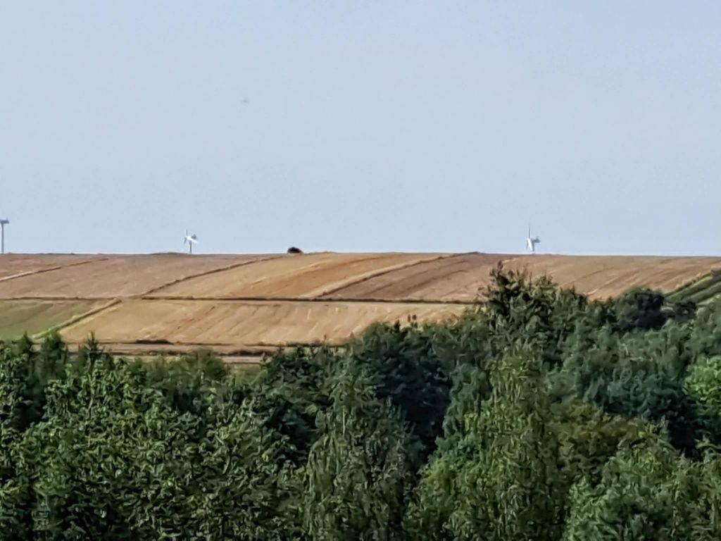 Działka rolna Antoniówka. Zdjęcie 3