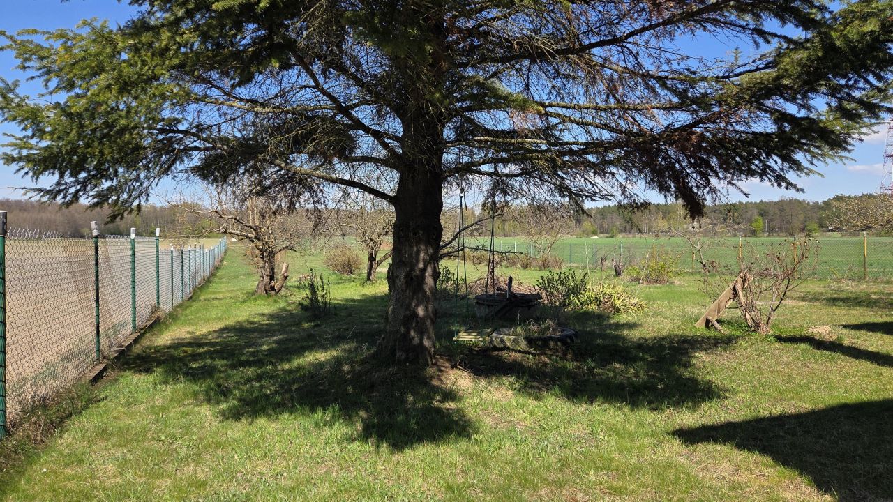 Działka rolna Szulborze Wielkie, Mianówek. Zdjęcie 4