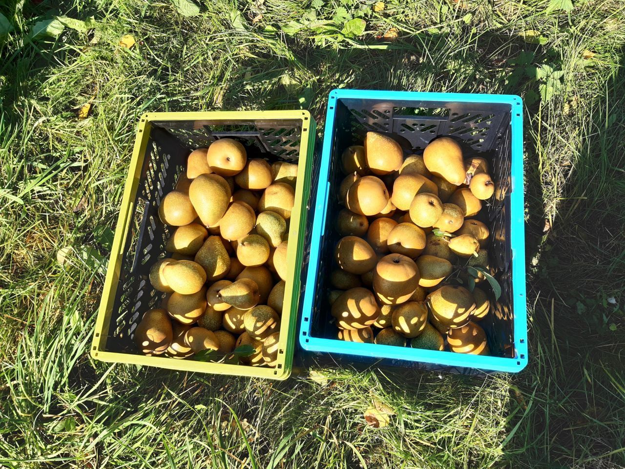 siedlisko, 3 pokoje Przegaliny Duże. Zdjęcie 15