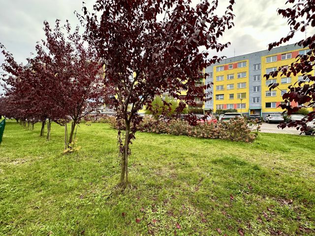 Mieszkanie 2-pokojowe Jelcz-Laskowice Centrum, ul. Oławska. Zdjęcie 20