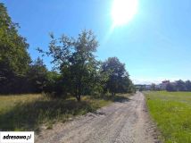 Działka budowlana Płocin. Zdjęcie 2