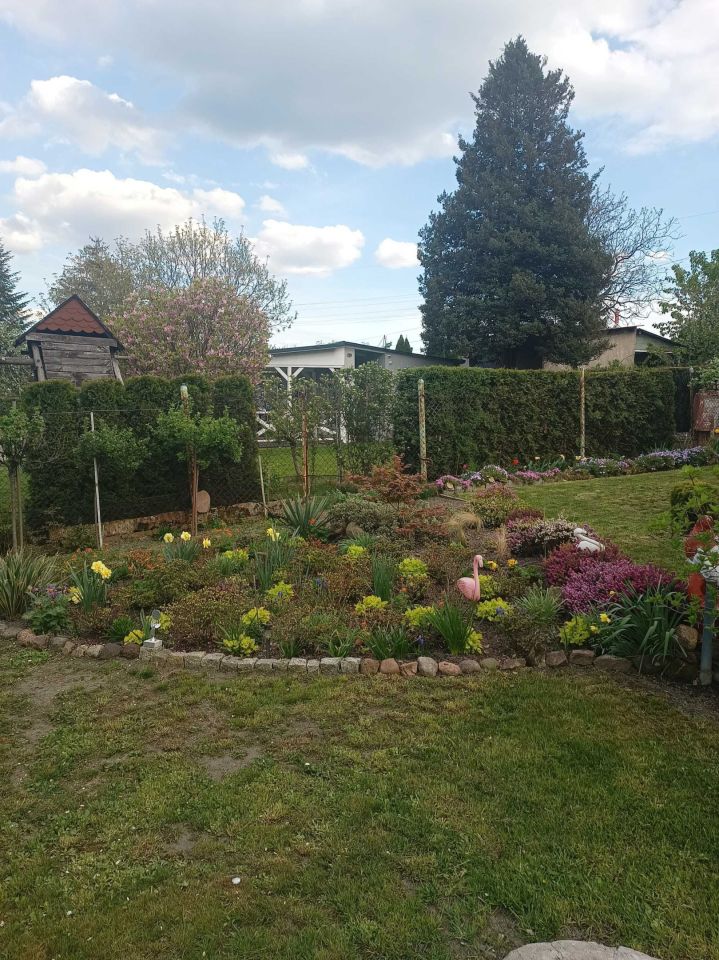 Działka rod Katowice Załęska Hałda. Zdjęcie 6