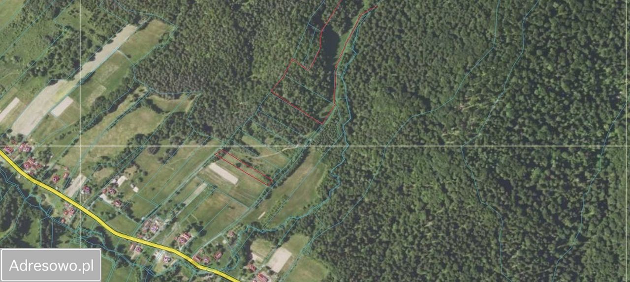 Działka rolna Ropienka. Zdjęcie 2