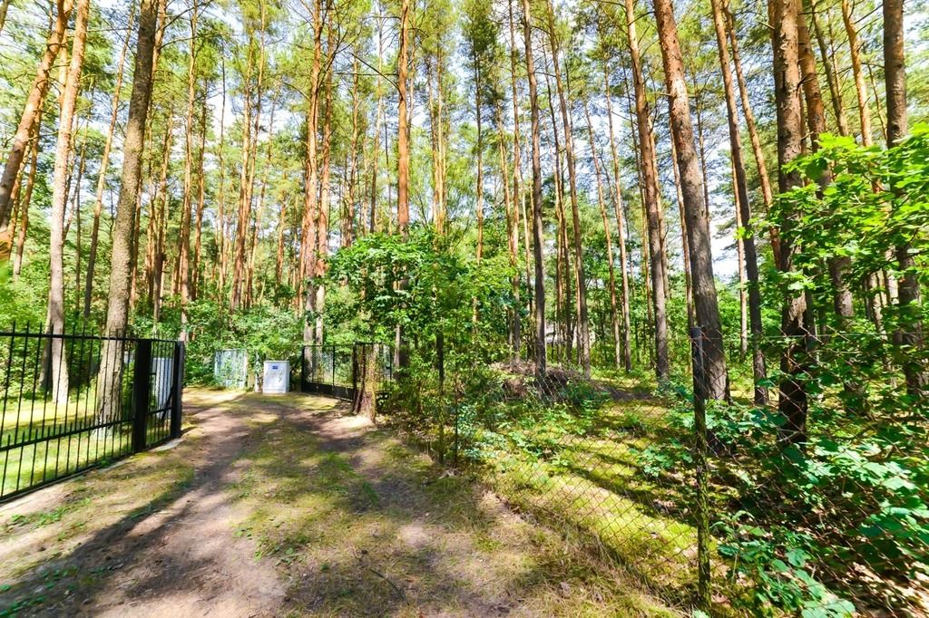 Działka rekreacyjna Poddębie. Zdjęcie 19