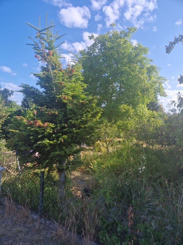 Działka rod Zielona Góra Jędrzychów. Zdjęcie 4