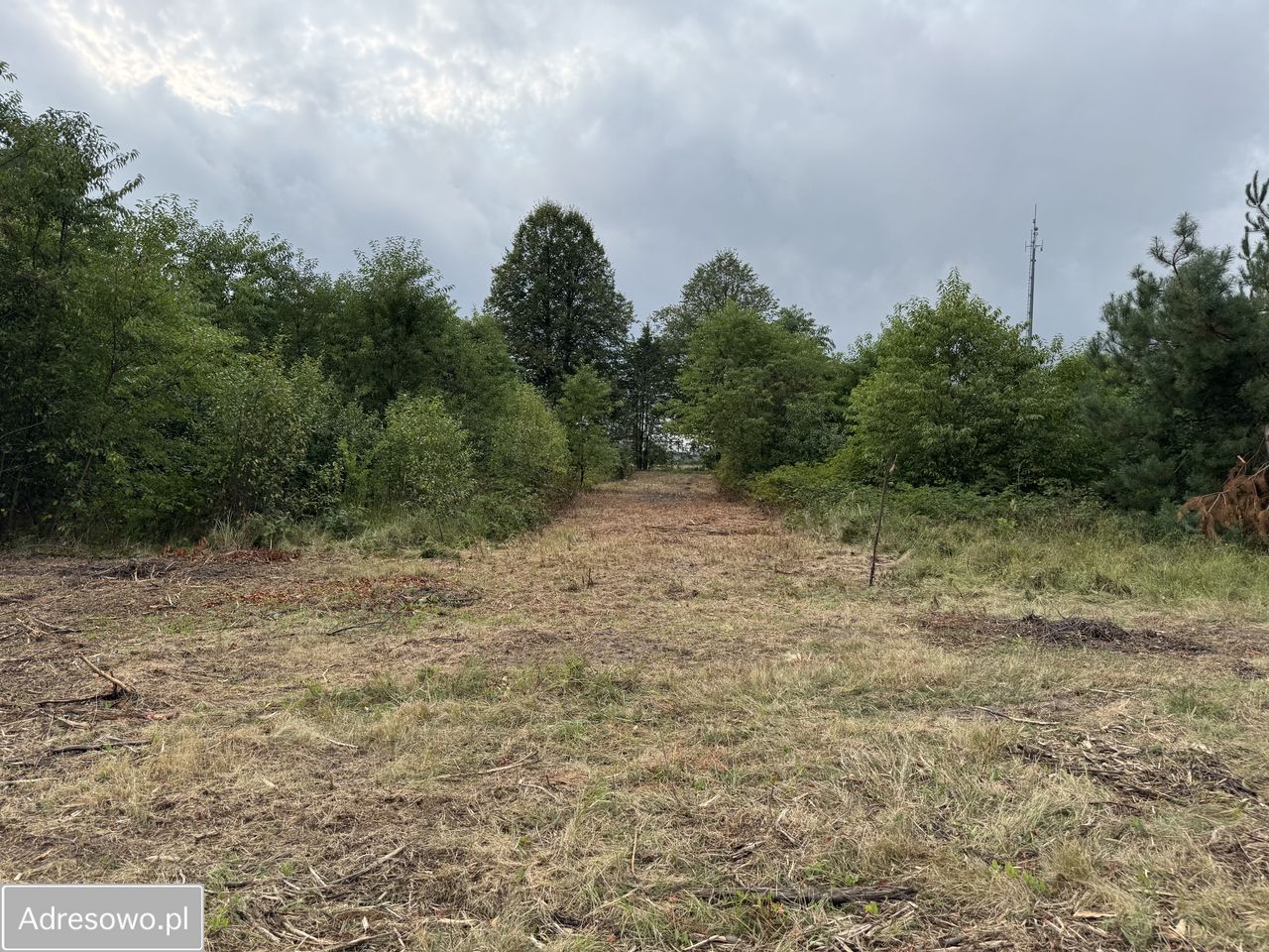 Działka rolno-budowlana Rogowice. Zdjęcie 7