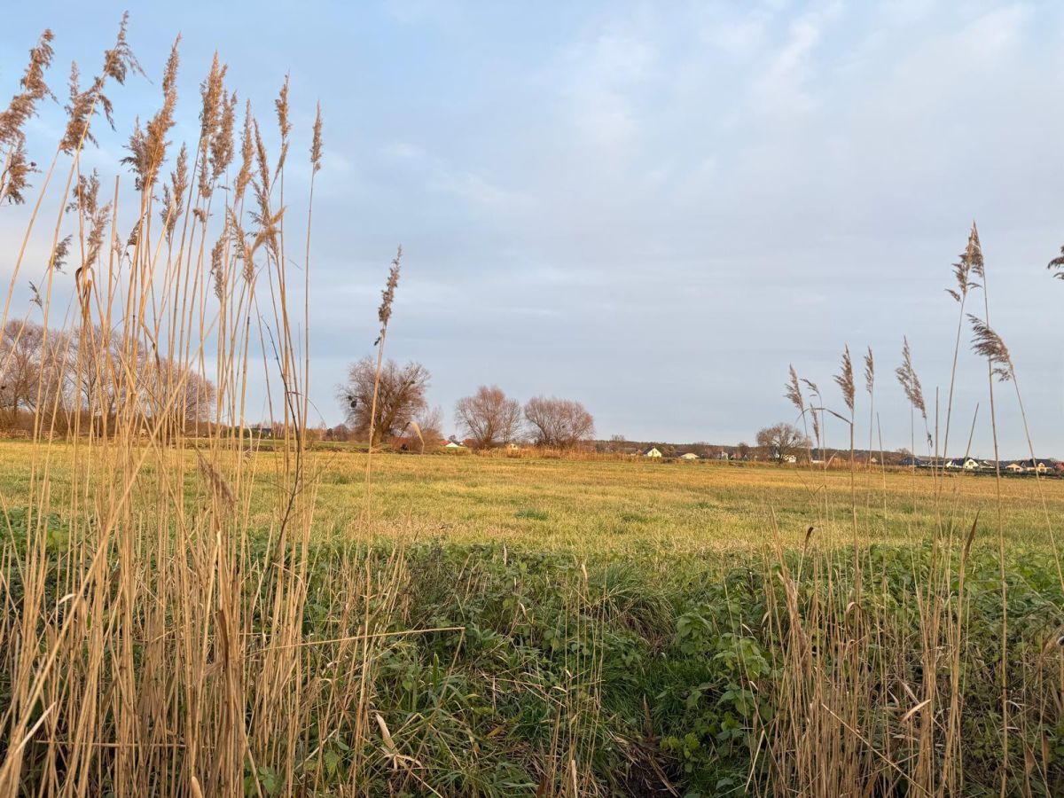 Działka rolna Oleśniczka. Zdjęcie 12